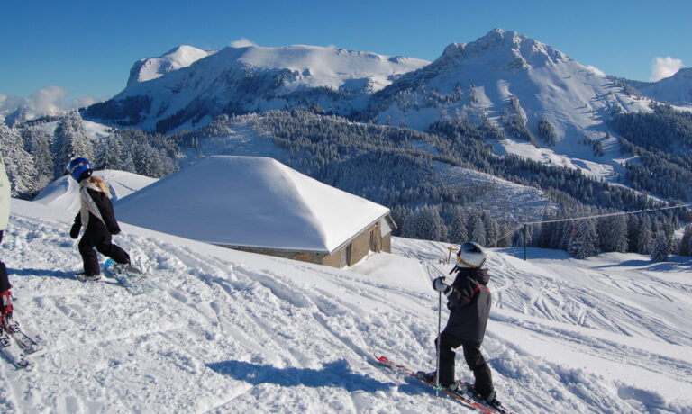 paccots-28890-1949495d371d974077c311a585fd303f21e2f7e1_3000