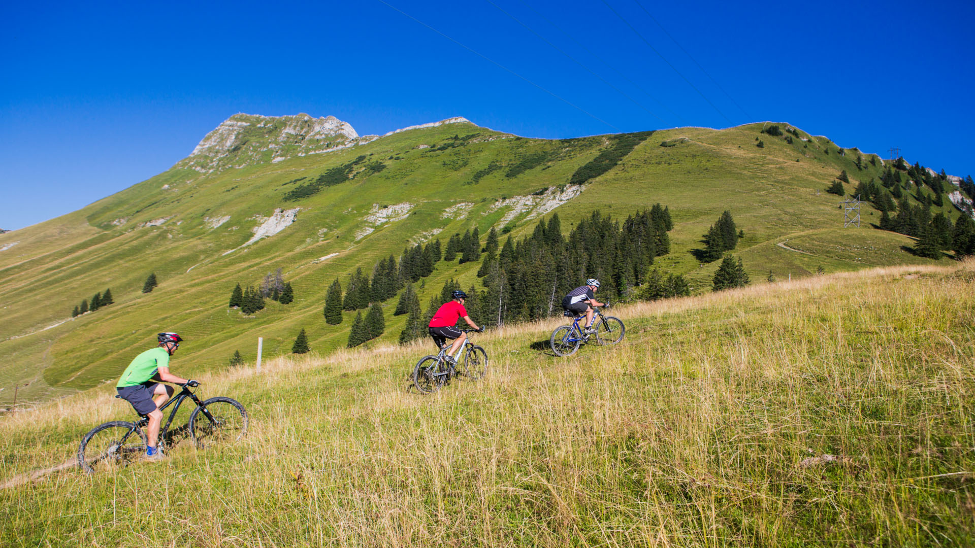 This Week's Cycling Gem: The Country Road