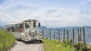 Les tours estivaux du petit train à Vully-les-Lacs sont de retour !