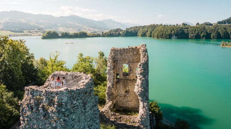 Take an excursion to the Ile d'Ogoz