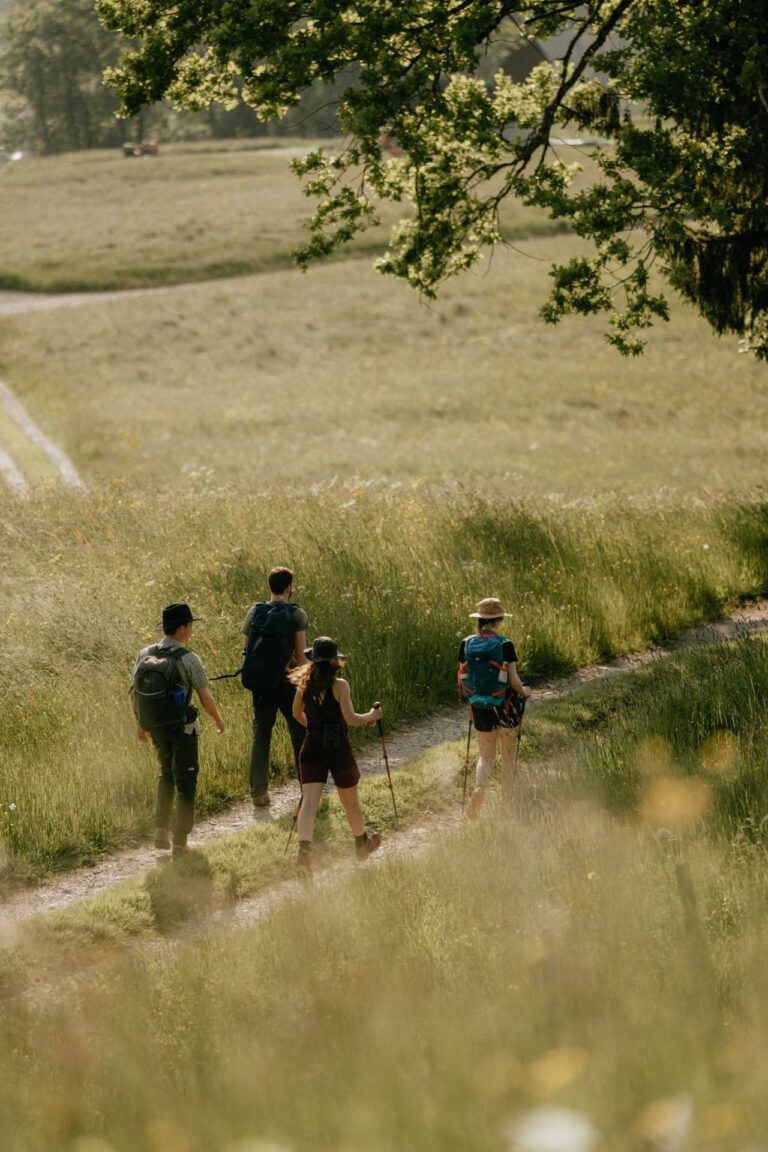Follow in the footsteps of the herdsmen