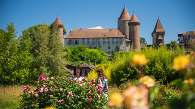 Wo blüht der Sommer? Am Rosenfestival in Estavayer-le-Lac!