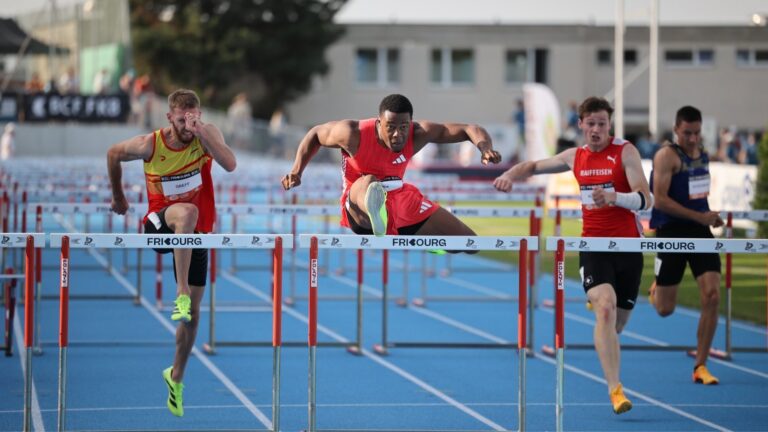 Fribourg International Meeting