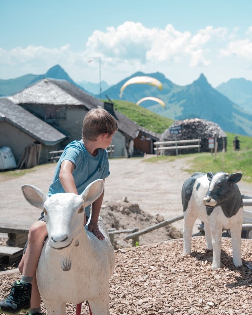 Alpsaison Vounetz