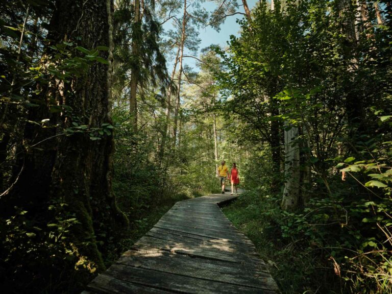 Wandern Sie ?