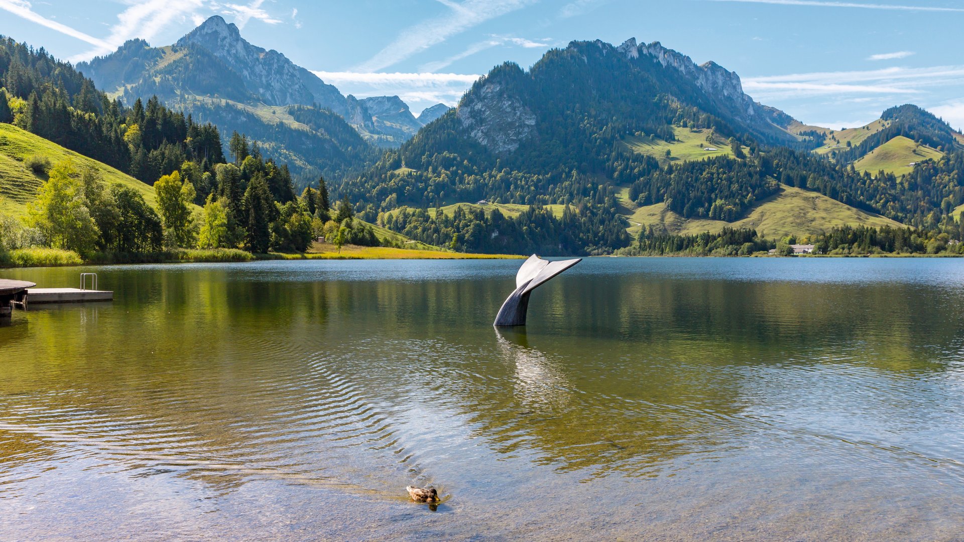 Été à Schwarzsee