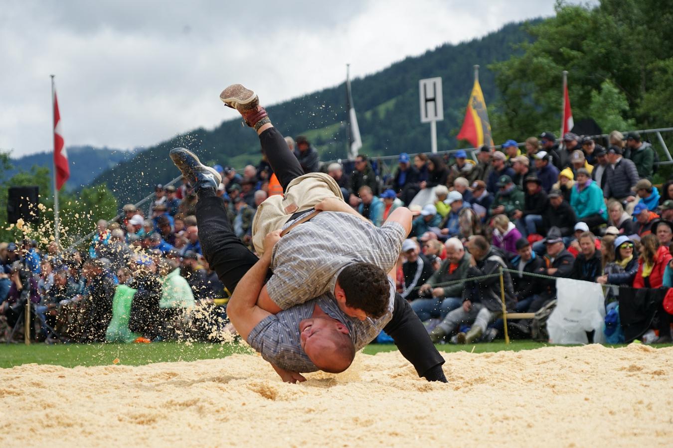 Fête de la lutte