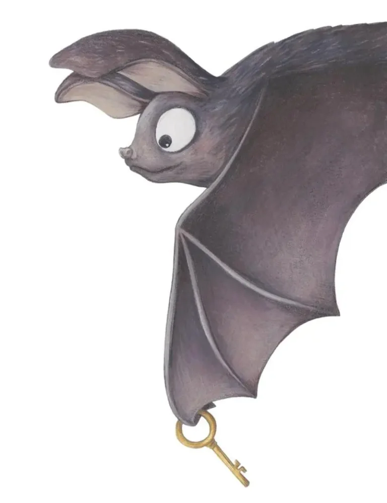 chauvesouris-chaumiere-coupe