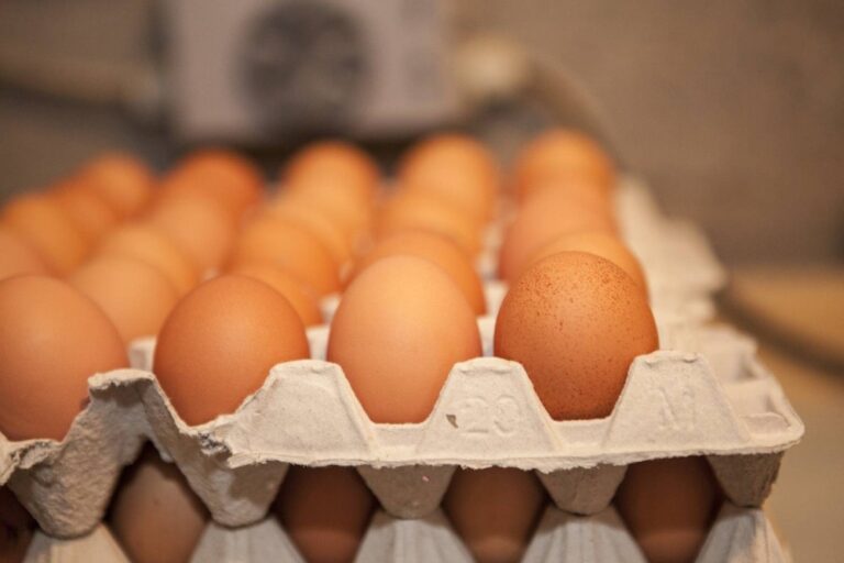 Farm egg