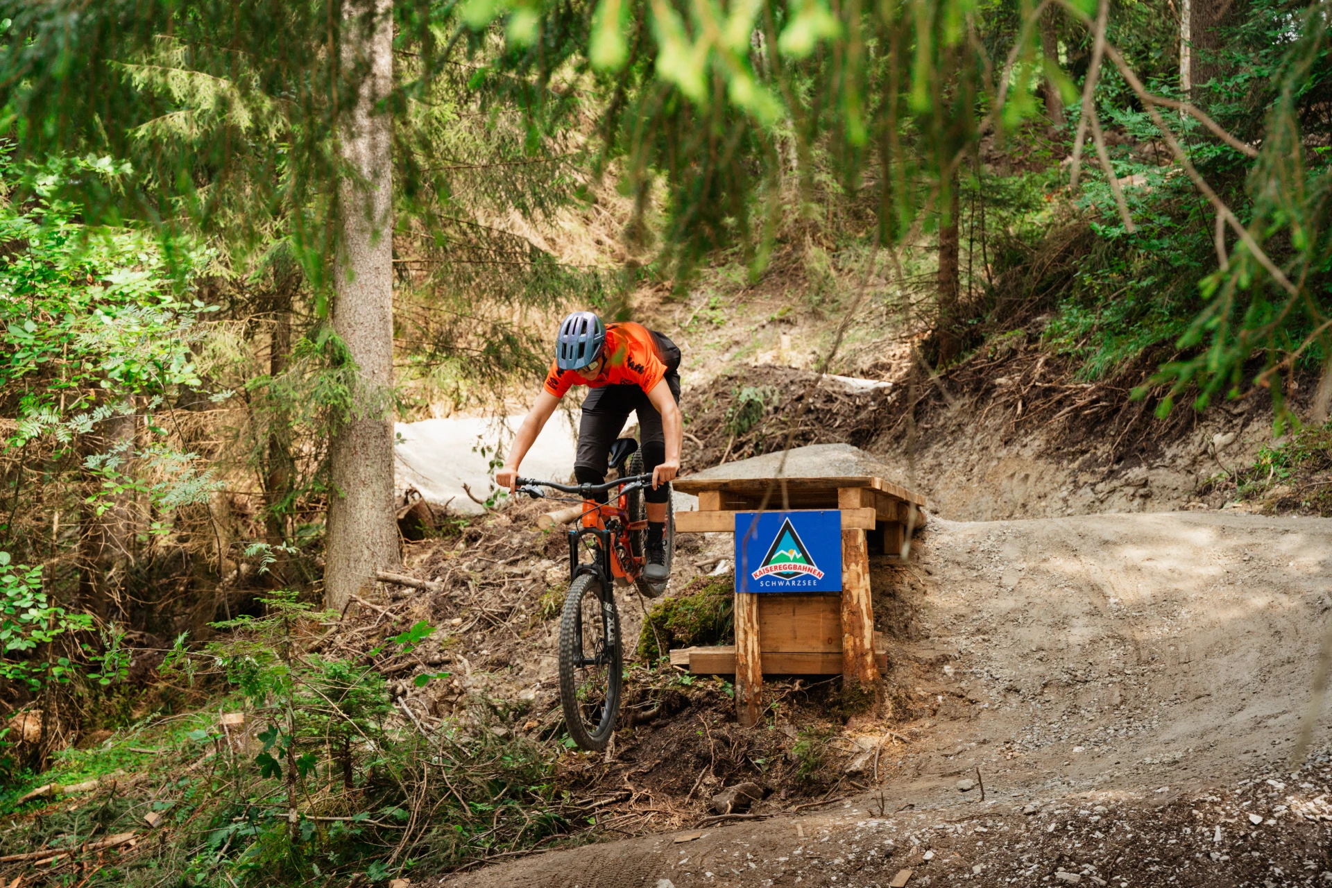 Flow Trail Bike