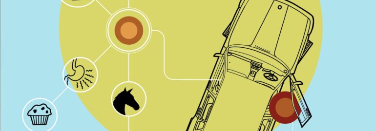 La couleur des choses