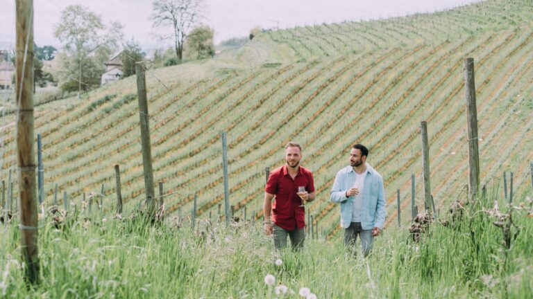 Le Vully et son vignoble