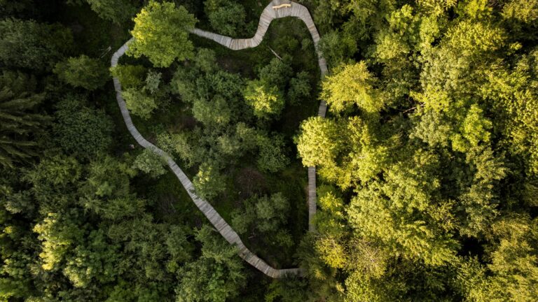 Spiel, Spass & Natur: Familienzeit im Wald von Romont