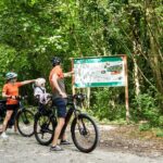 La Grande Cariçaie se découvre à vélo : entre nature et histoire