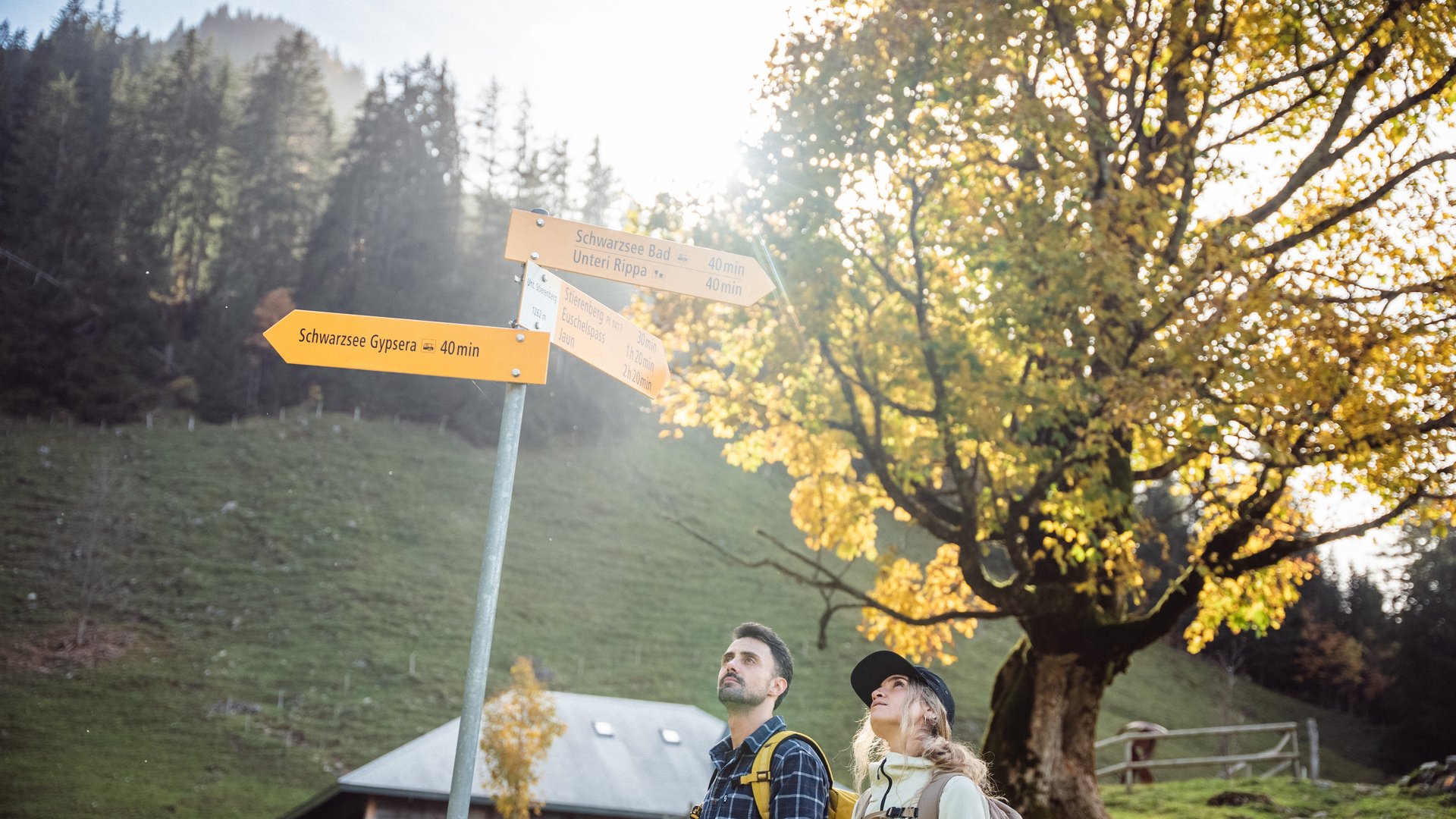 Mesures durables à l’interne de l’UFT