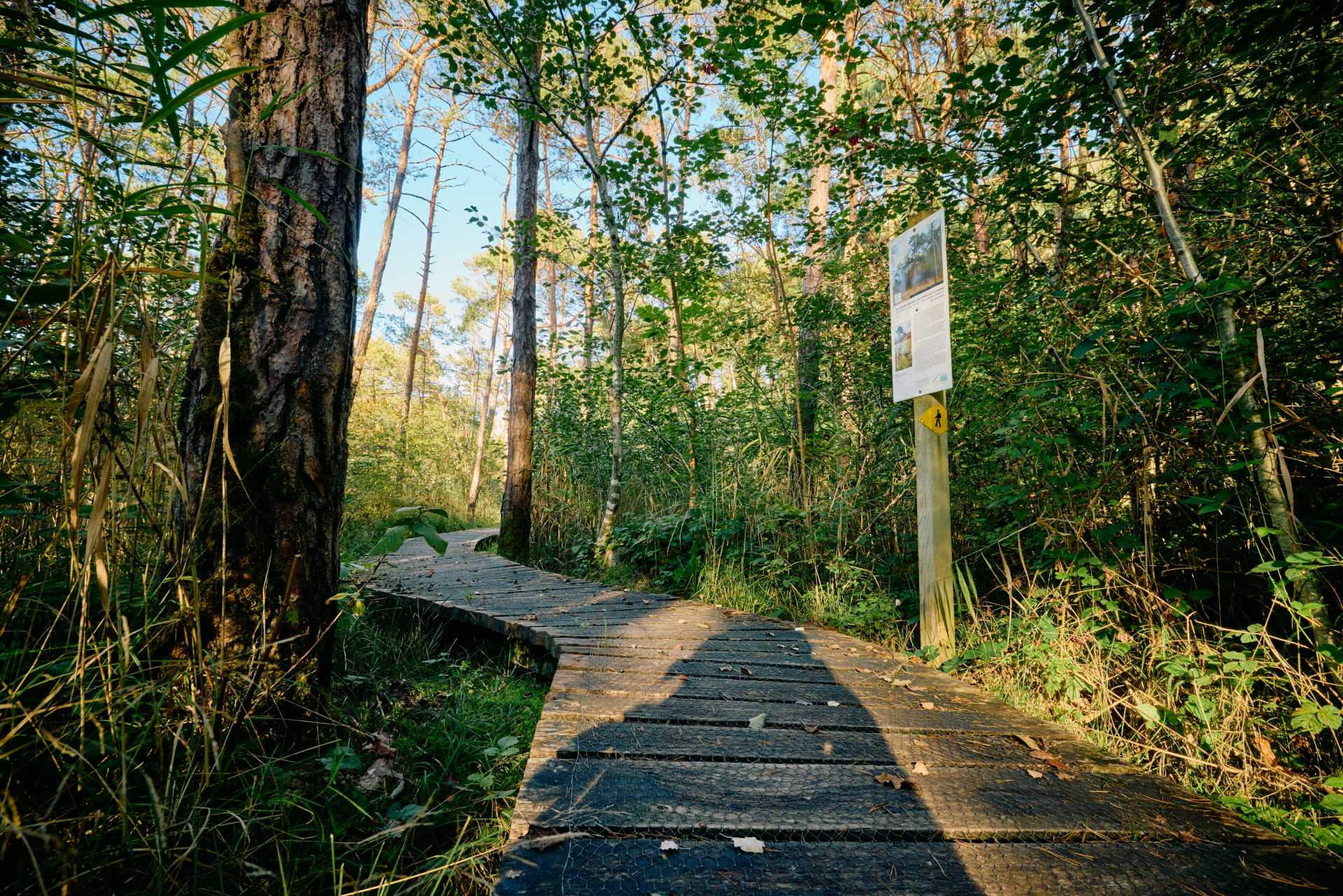 Sentier didactique