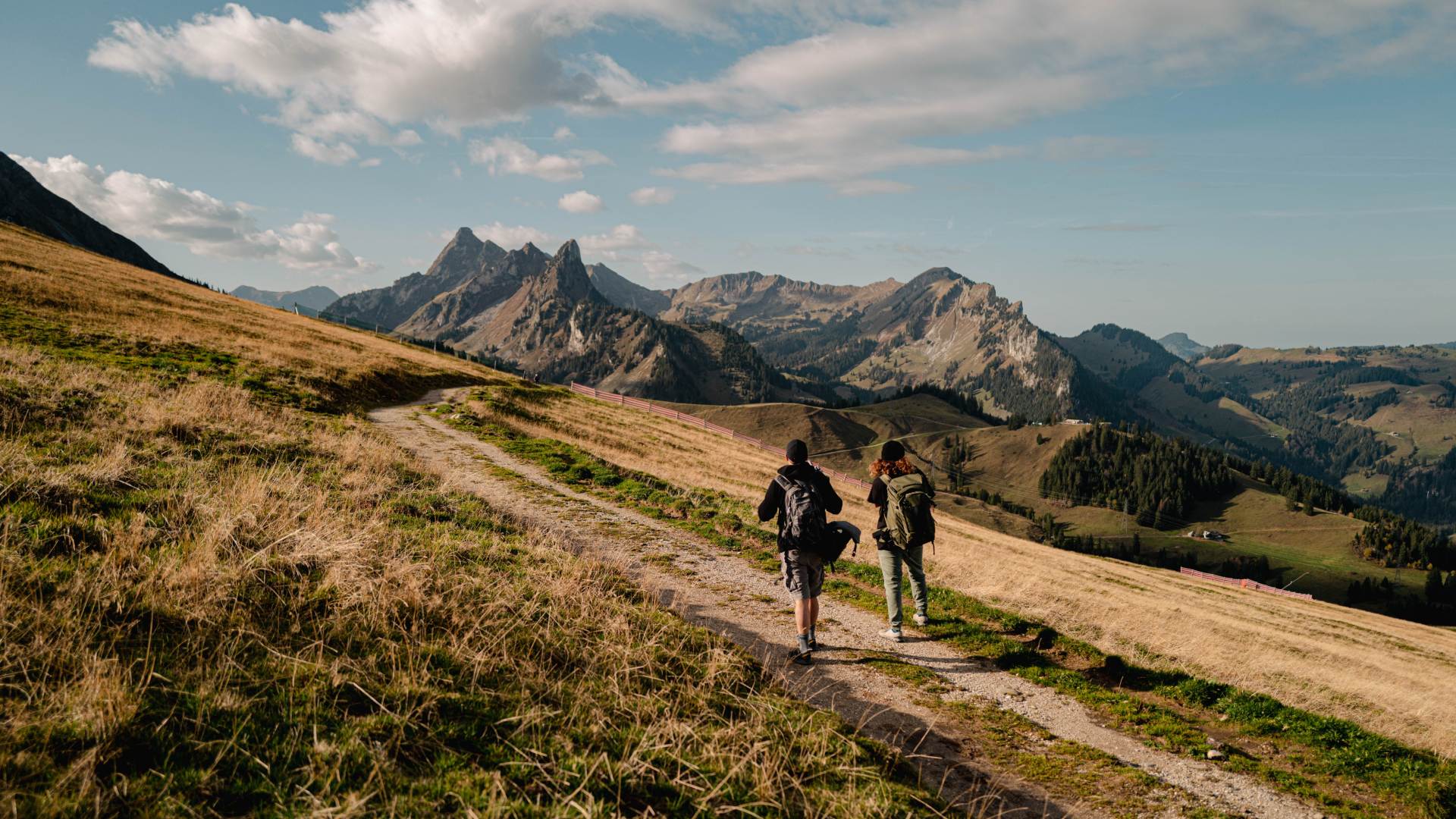 Wandern im Freiburger Herbst – staunen & geniessen