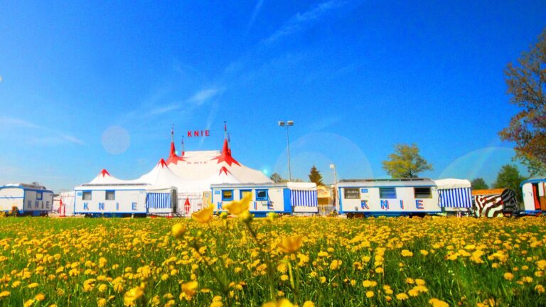 Zirkus Knie: Manege frei für die ganze Familie