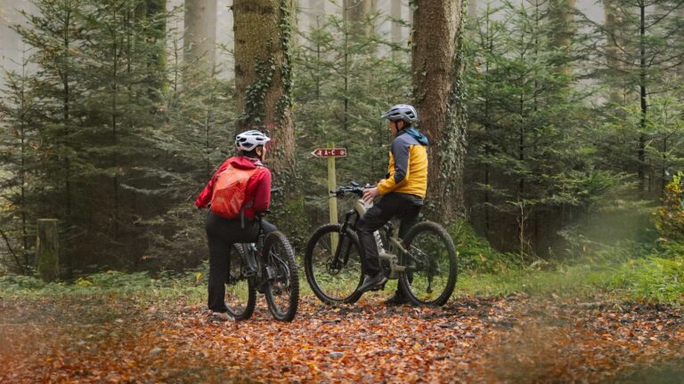 Mit dem «Gourmet Mountainbike»-Package durch die Region Freiburg