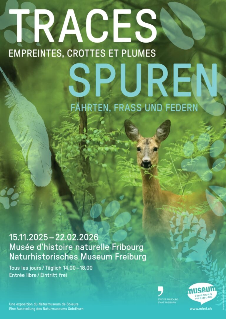 Tierspuren_Plakat_A3_250917 – Copie_1