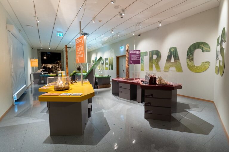 03 MHNF_Traces Spuren_2025 © michaelmaillard.com