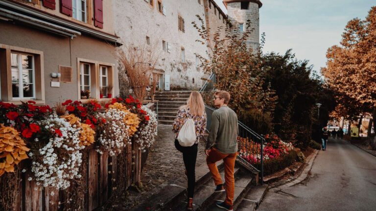 Discover the canton with our guided tours!