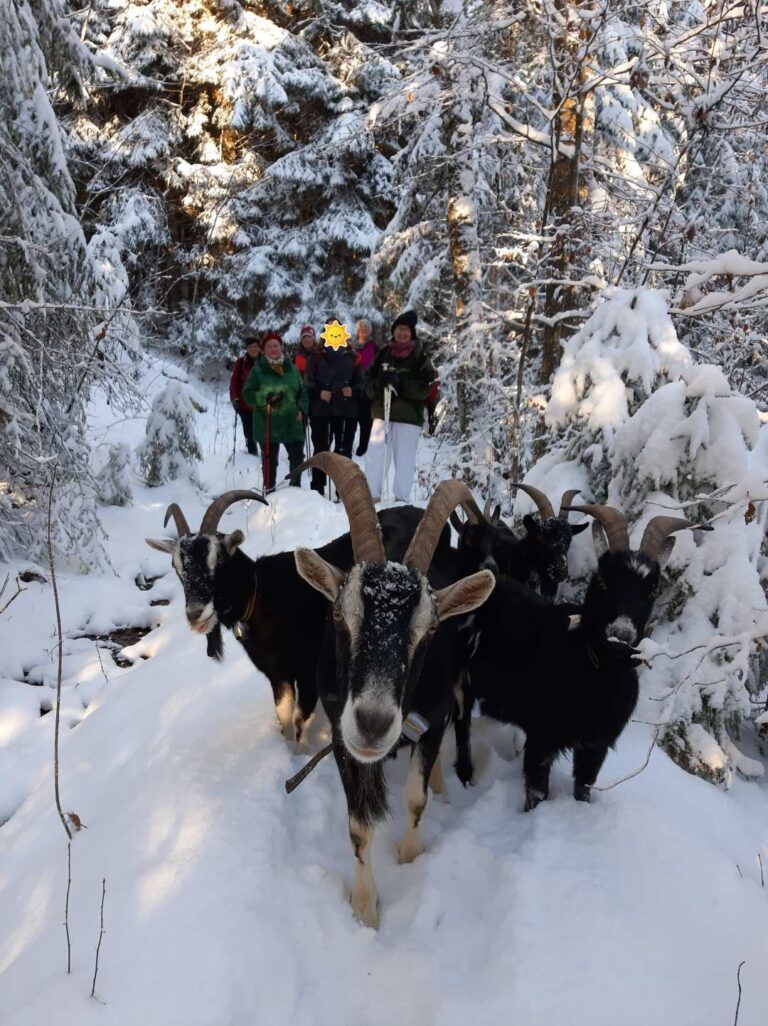 L’Amour en balade pour les 45 à 58 ans, en Gruyère