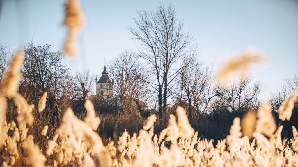L'hiver à Estavayer-le-Lac Région