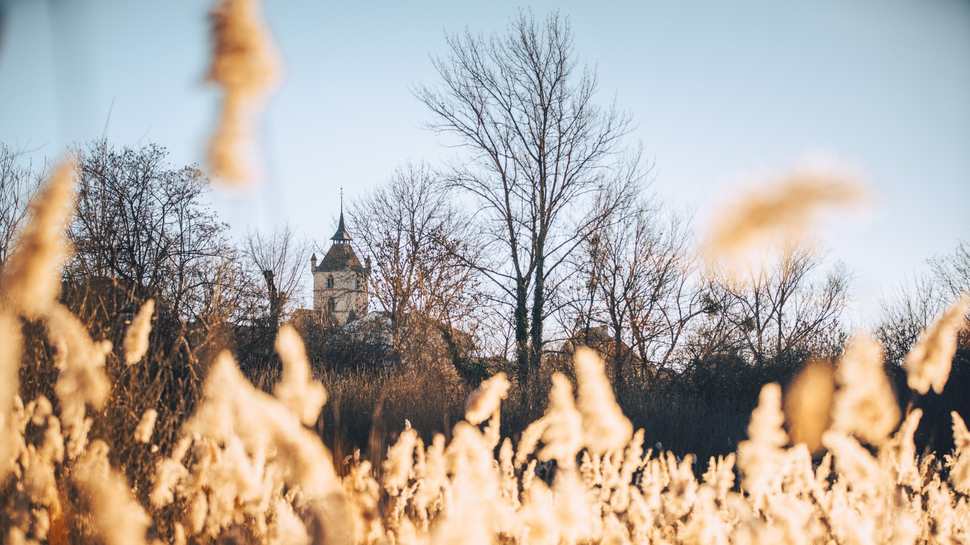L'hiver à Estavayer-le-Lac Région