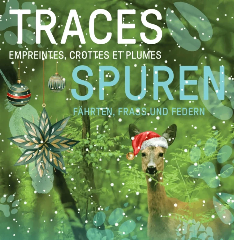 mediation-dans-l-expo-traces-de