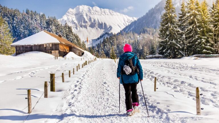 Randonnées en raquettes