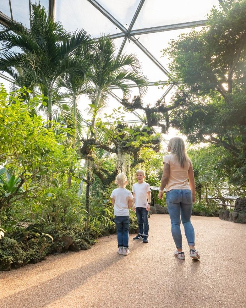 Papiliorama, im Reich der Schmetterlinge