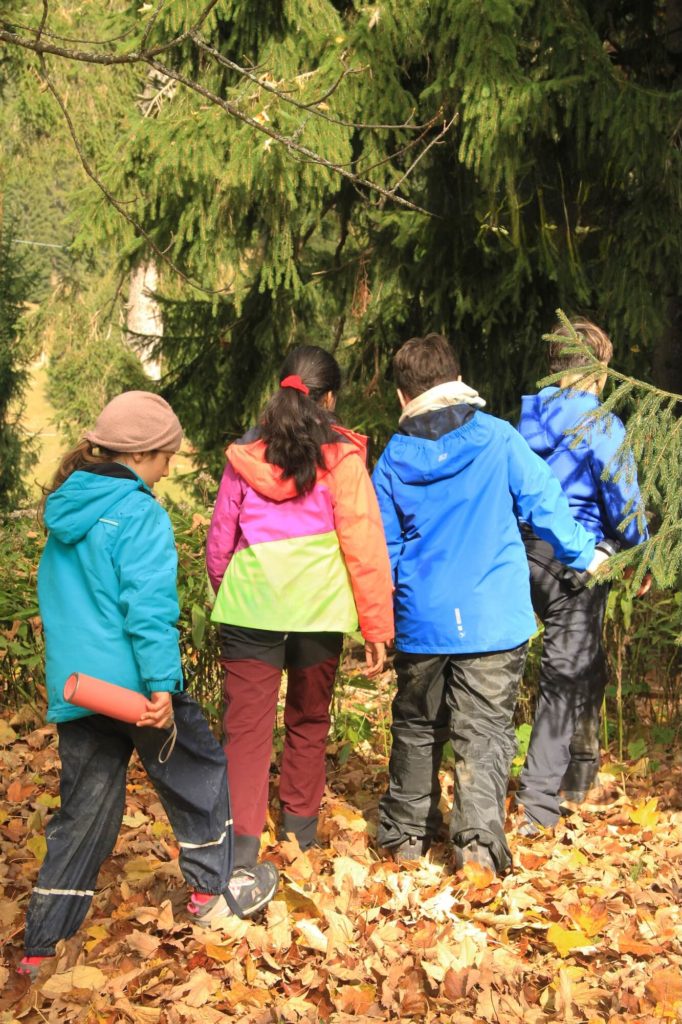 Camp pour enfants en forêt (9-13 ans)