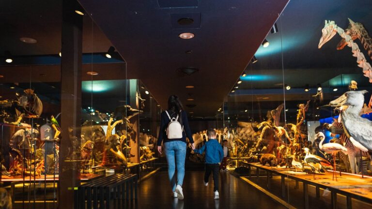 Bad weather? Time to explore our museums!