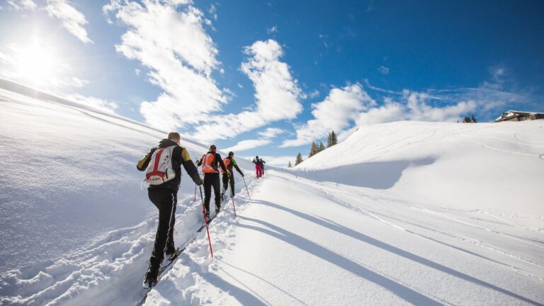 Marchez au cœur de l’hiver