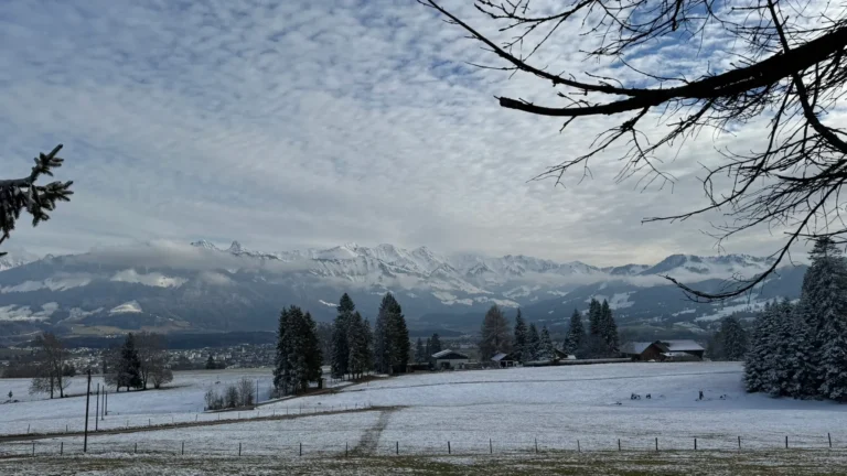 Monts de Riaz | La Gruyère