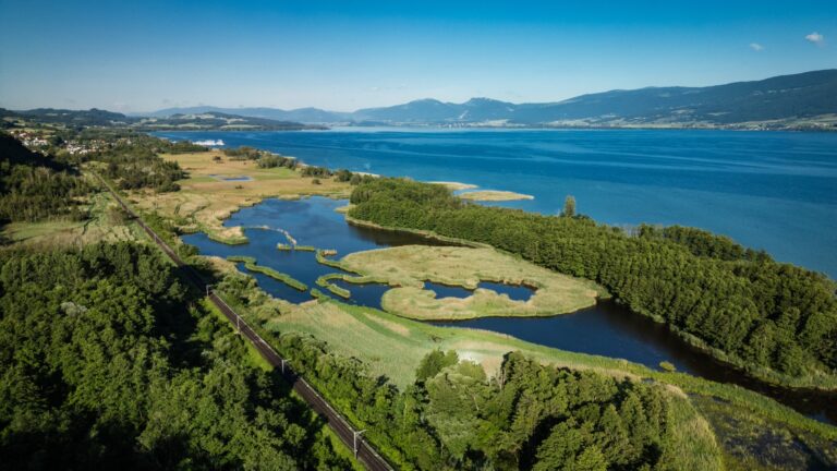 La Grande Cariçaie, Switzerland’s largest lake nature reserve