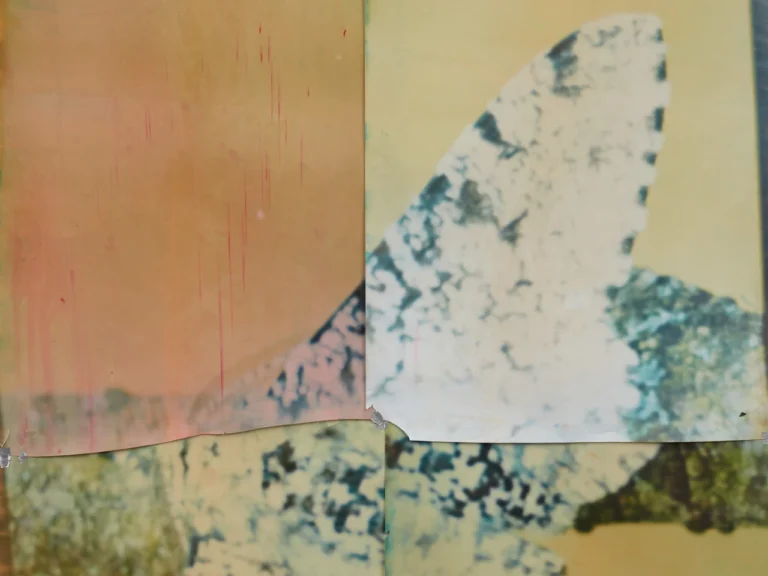 Natural Exposure, 2023