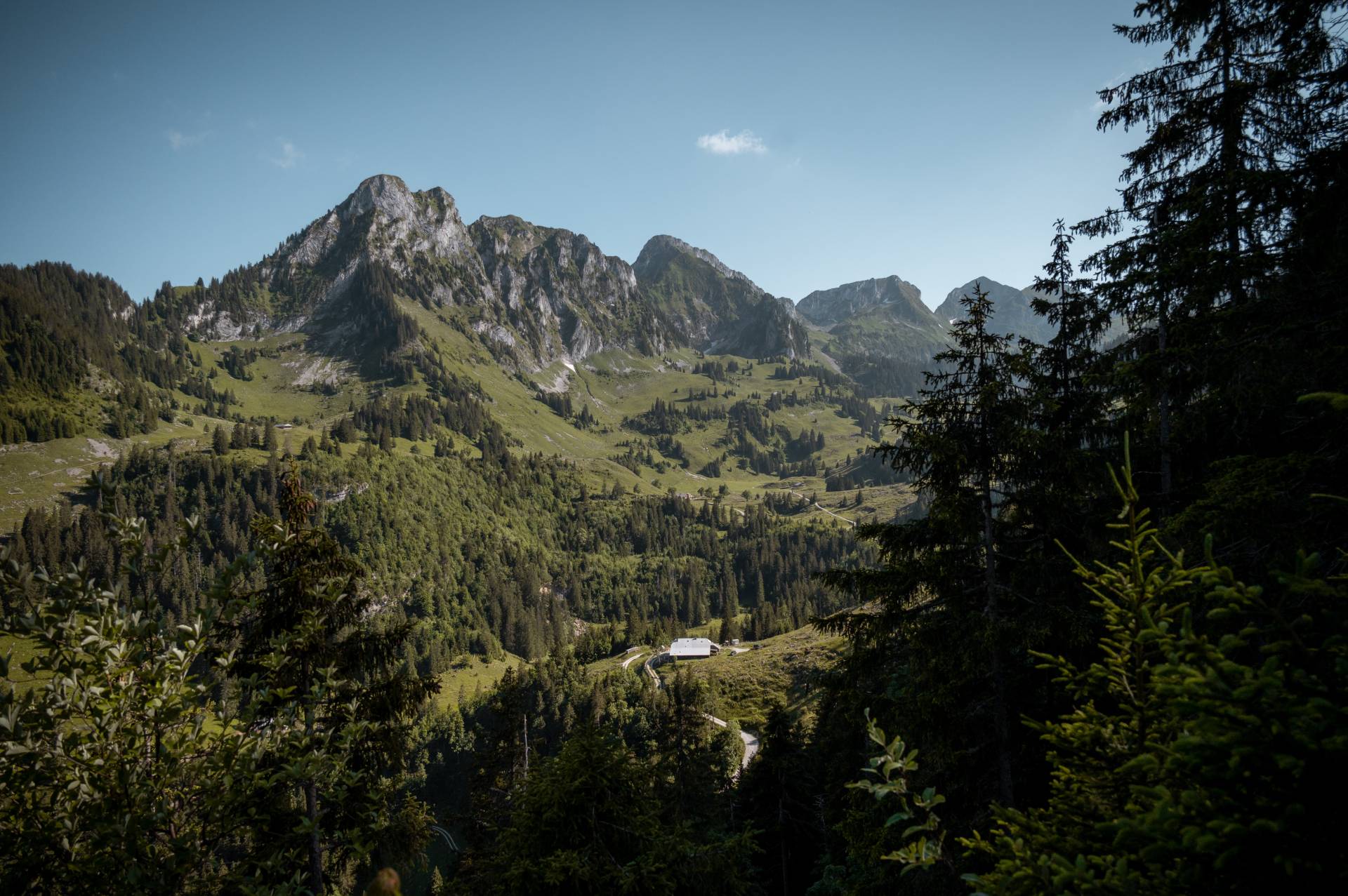 Frühling in Schwarzsee