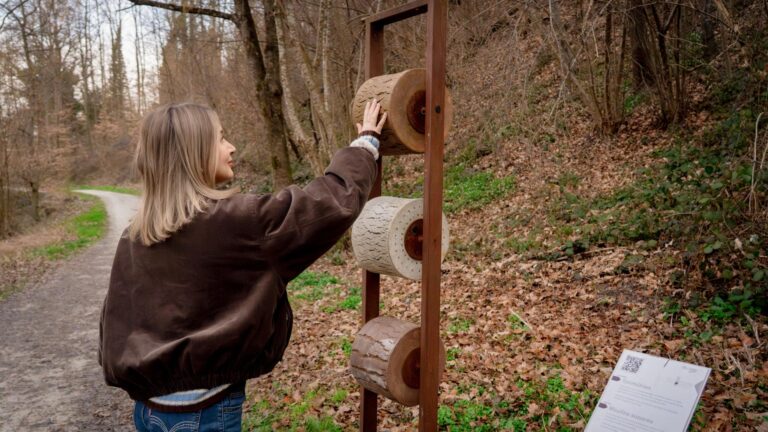 Das Senseland entdecken 