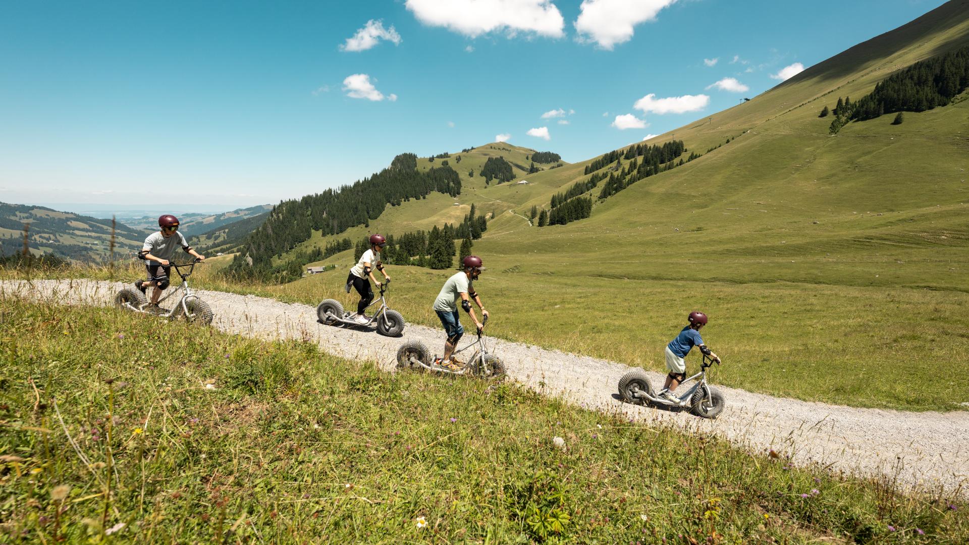 Monster scooter kick