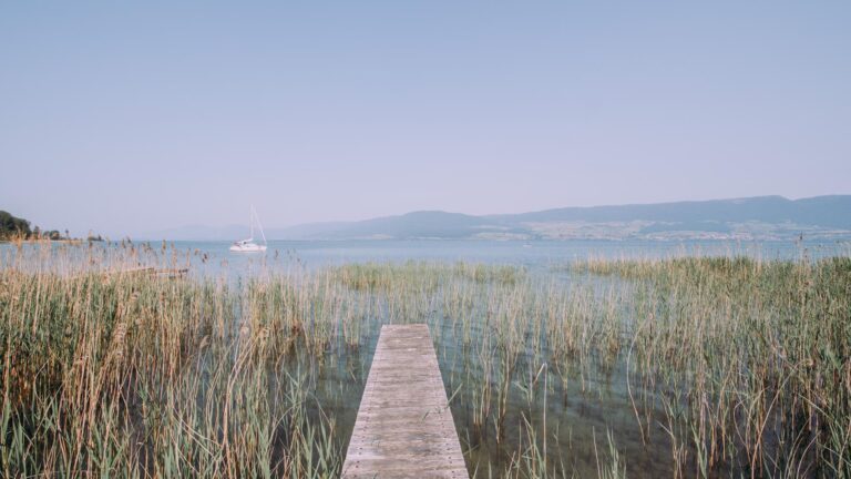 Grande Cariçaie – Wanderwege, Vogelbeobachtungen und geführte Touren