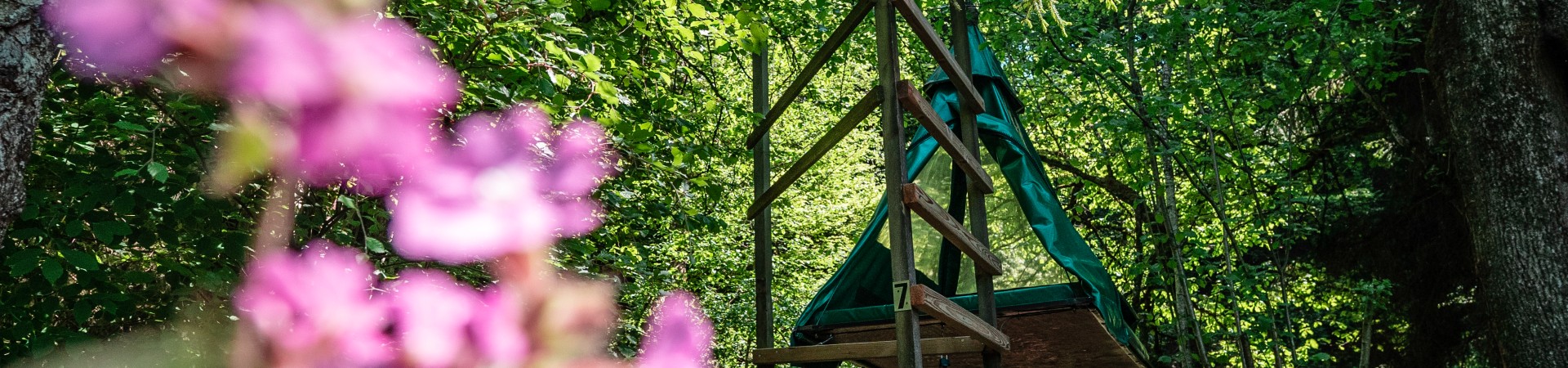 Biwak in den Bäumen