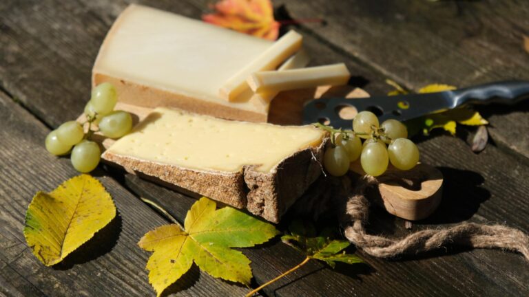 Swiss Cheese Awards 2026 in Freiburg