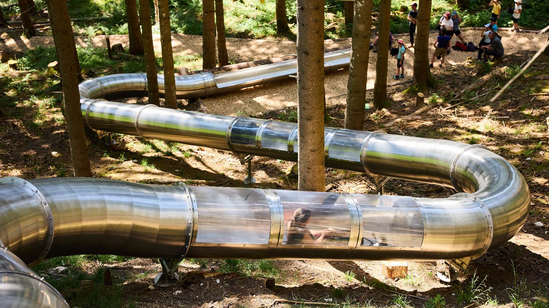 Toboggan Trail in Charmey