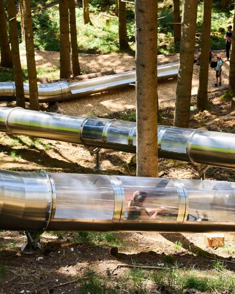Toboggan Trail in Charmey