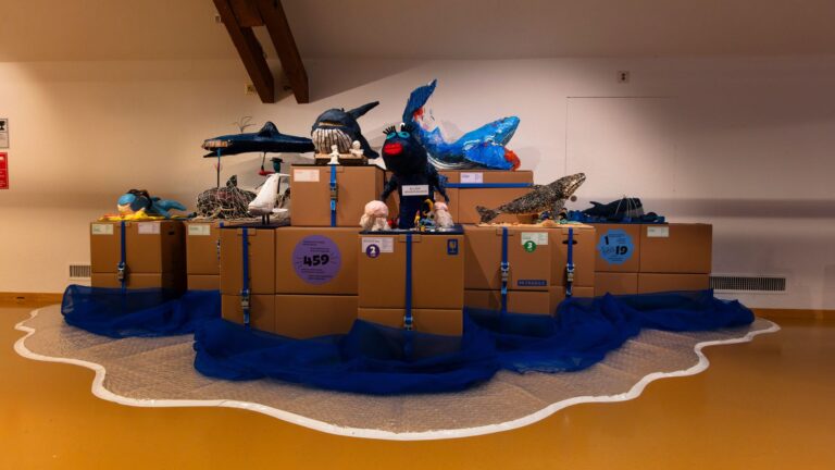 MHNF Bis Bald Baleine 1
