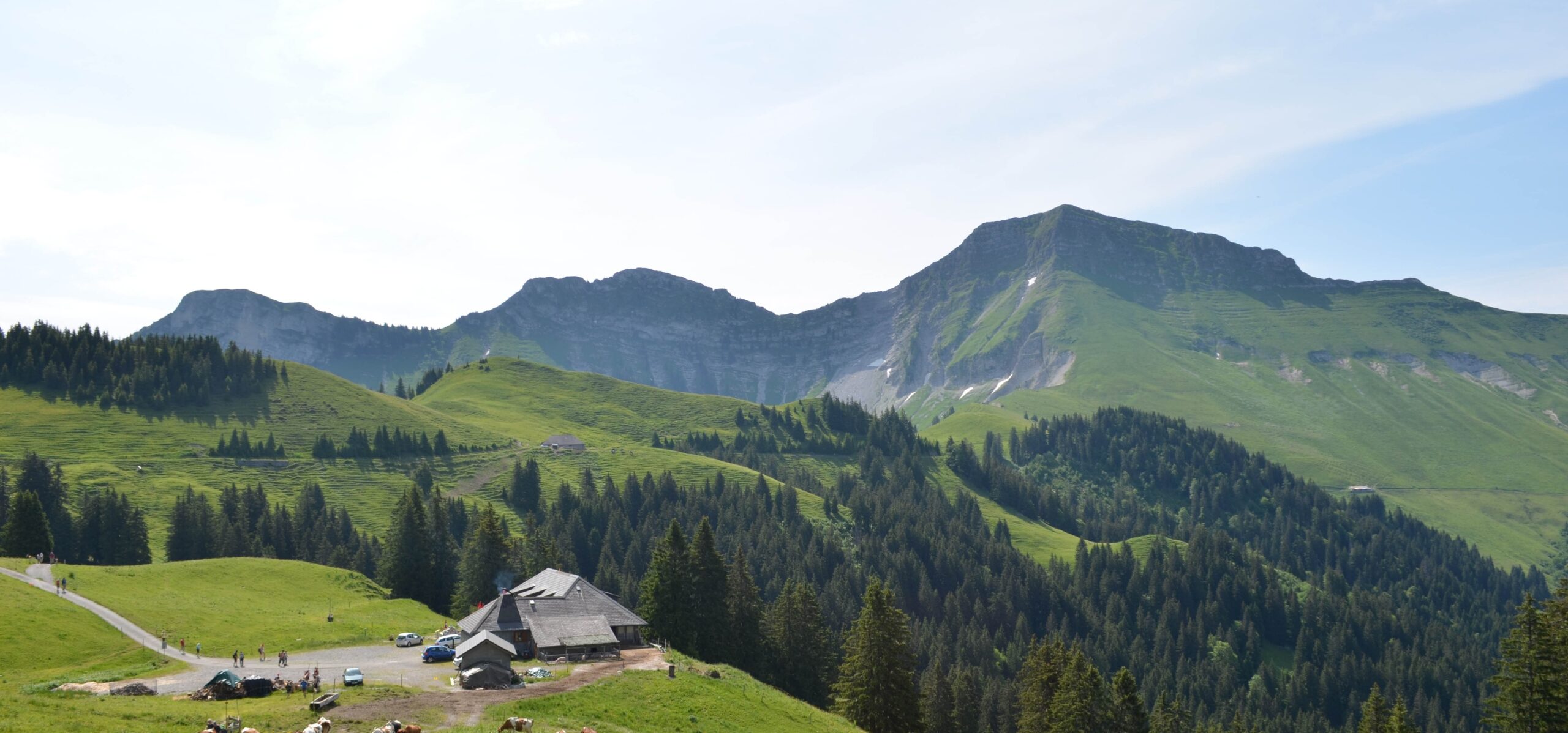 Our favorite hike of the week