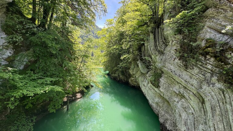 Depuis pont couvert EQF ©Parc Gruyère Pays-d’Enhaut