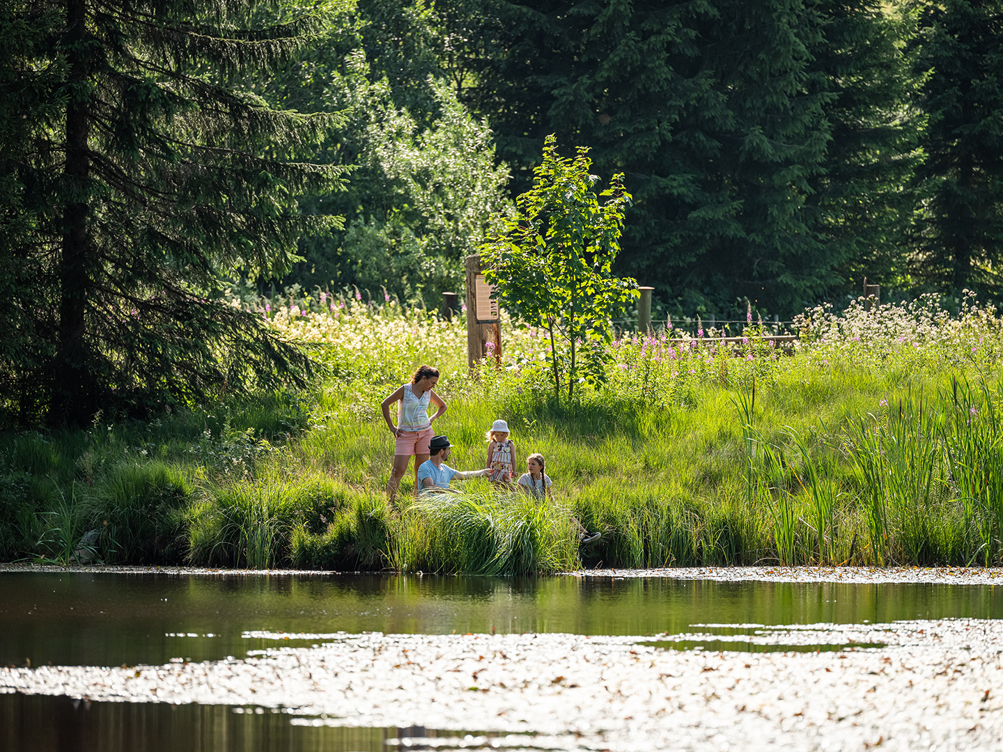 Etang Rathvel Paccots